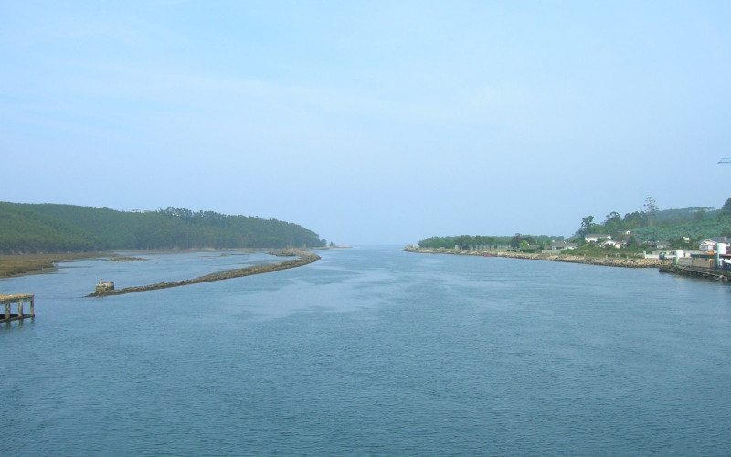 Navia